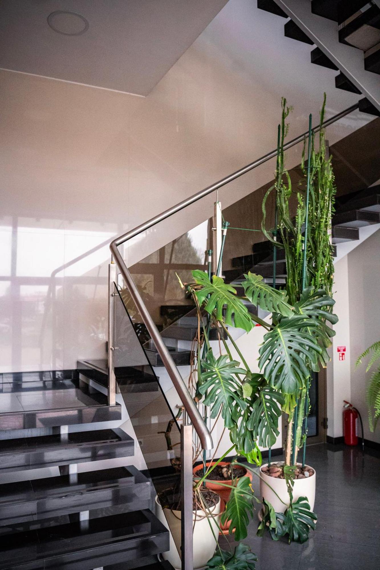 Hotel Pas Katina Panevėžys Dış mekan fotoğraf